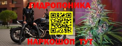 Альфа ПВП Берёзовский