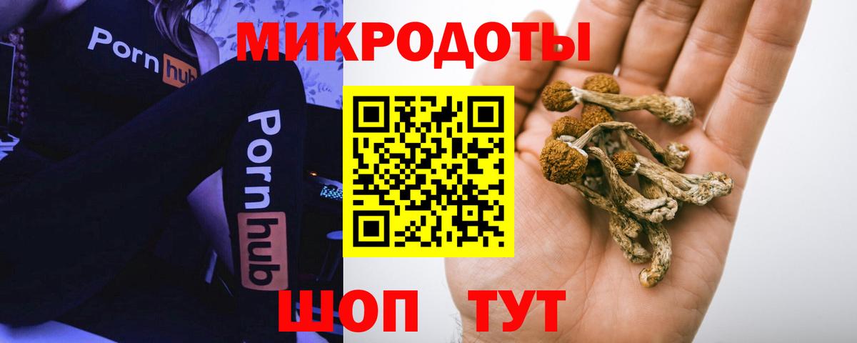 Димитровград  Галлюциногенные грибы Psilocybe  Вход с VPN  Псилоцибиновые грибы ЛСД 