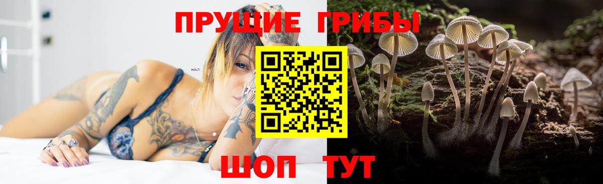 Псилоцибиновые грибы Magic Shrooms Димитровград